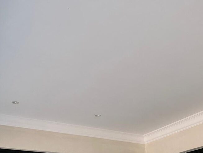 rhinolite plastering